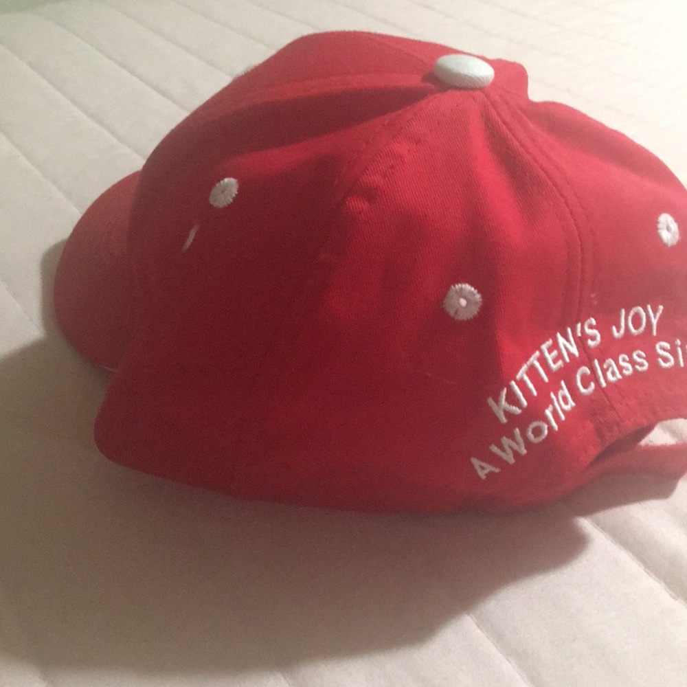 Hat - Picture 4 of 5